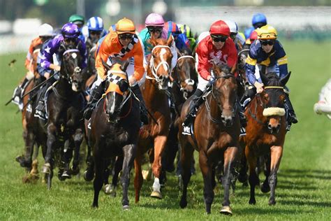 Horse racing Australia facts: Melbourne Cup 2019.