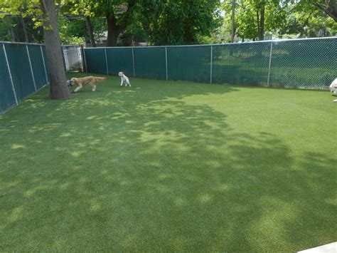 Pet Turf - Synthetic Turf for Dogs - Artificial Turf | Custom Turf