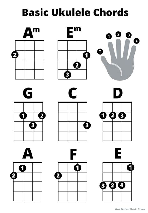 Beginner Ukulele Basic Chords Sheet Great for Beginners - Etsy ...