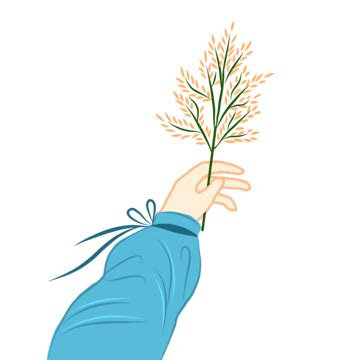 Hand Holding Flower, Hand Gesture, Holding Flower, Beautiful Flower PNG Transparent Clipart ...