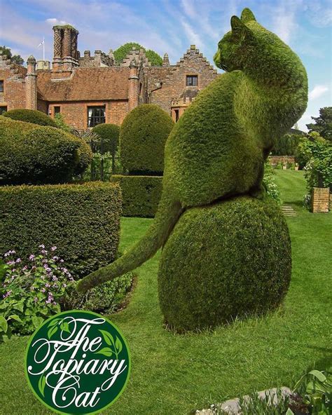 ‘The Topiary Cat’ Memorializes Surrealist Artist’s Beloved Pet ...