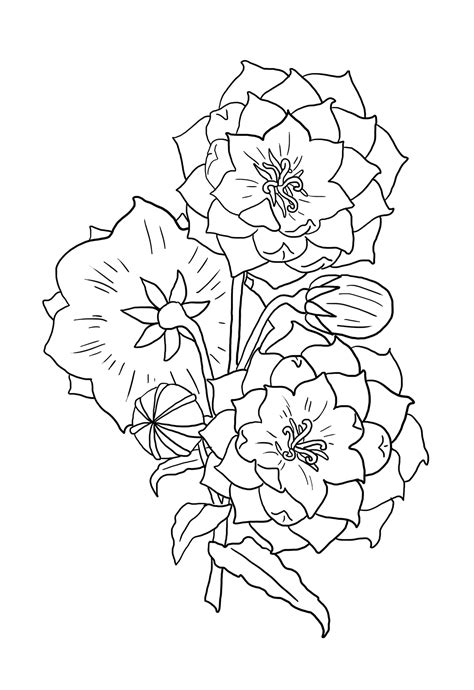 Flower Coloring Pages