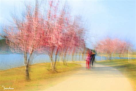 Photo Impressionism: How to Use Your Camera as a Digital Paintbrush | Apogee Photo Magazine