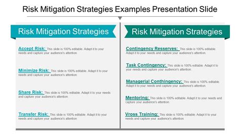 Diapositiva de presentación de ejemplos de estrategias de mitigación de riesgos | Muestra de ...