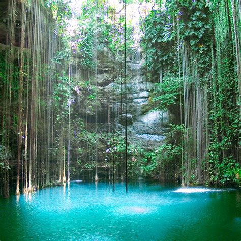 Maravillas naturales en Yucatán