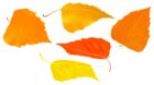 Fall Leaves Set PNG Transparent Clipart | Gallery Yopriceville - High ...