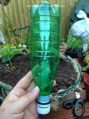 DIY watering system (drip – feed from soda bottles) – London to Land Girl Diy Water Bottle ...