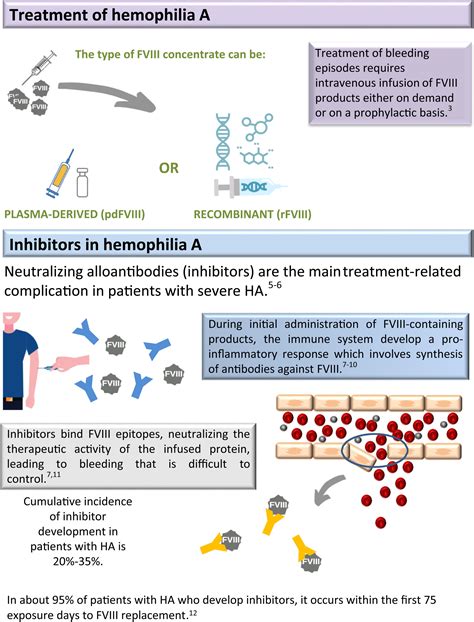 Development of inhibitors in hemophilia A: An illustrated review ...