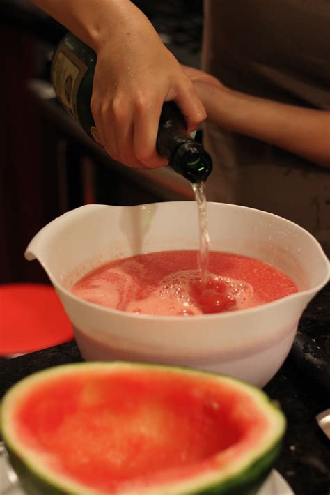 A Scientist's Love Affair with Food: Watermelon Soju