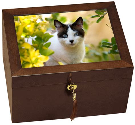 Pet Urn- Large Wooden Cat Urn with Photo and Shelf.