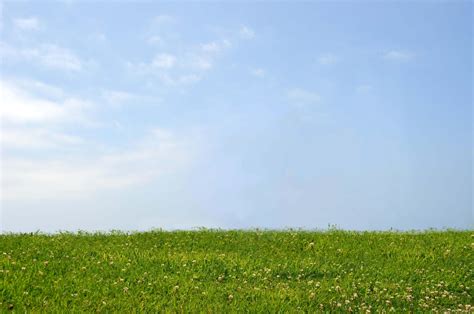 Grass and Sky Stock Photo-Premade background by annamae22 on DeviantArt