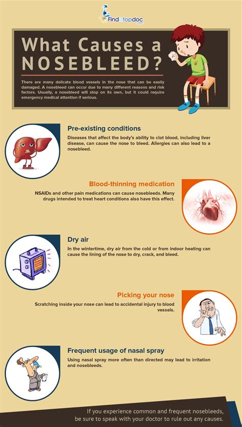 What Causes Nosebleeds? | Nose bleeds, Infographic health, Home health remedies