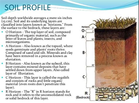 Soil Profile - All About Soil