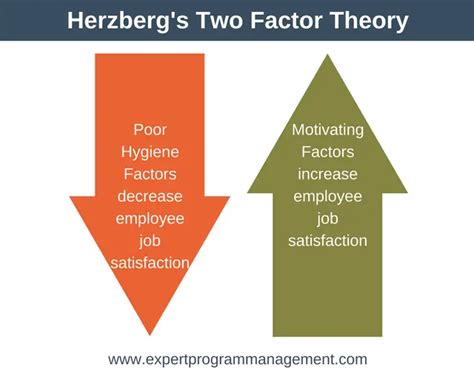 The Two Factor Theory: How To Get The Most Out Of Your Employees