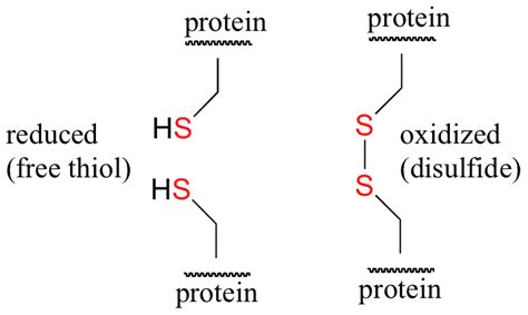 CH105: Chapter 10 – Compounds with Sulfur, Phosphorus, and Nitrogen – Chemistry