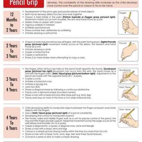 The Development of Appropriate Pencil Grip and Drawing Skills - Ages 1 ...