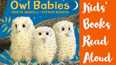 Owl Babies | Books for Toddlers Read Aloud - YouTube