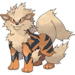 Mega Evolution Concept (Arcanine) | Pokémon Amino