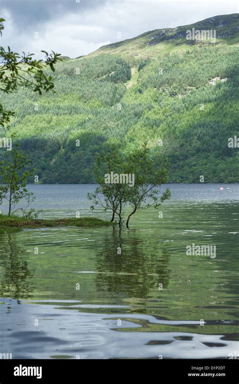 Loch Lomond viewed from Tarbet, Scotland Stock Photo - Alamy