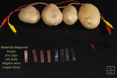 DIY Potato Battery: Potato Light bulb Science Fair Project