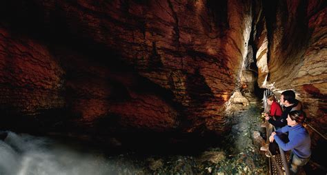 Te Anau Glowworm Caves - Scenic Pacific Tours