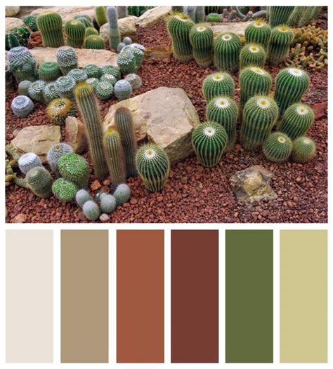 Spring preserves - Mojave Desert and Vegas inspired Color Palettes ...