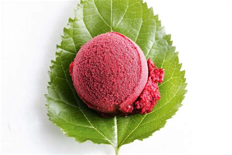 Mulberry sorbet