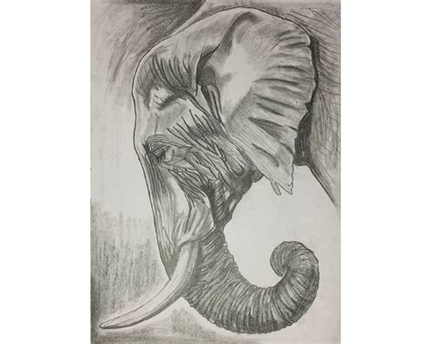 sri lanka elephant Drawing by Nipuna Nawshan | Saatchi Art