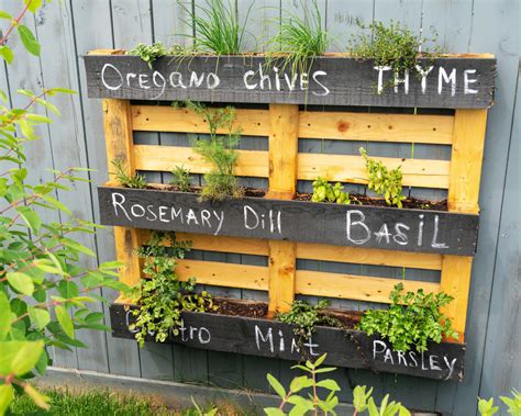 Pallet garden wall ideas: 15 quick and cheap DIY projects that are easy to do