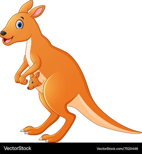 Kangaroo cartoon Royalty Free Vector Image - VectorStock