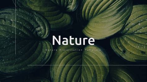 Nature Powerpoint Template - prntbl.concejomunicipaldechinu.gov.co