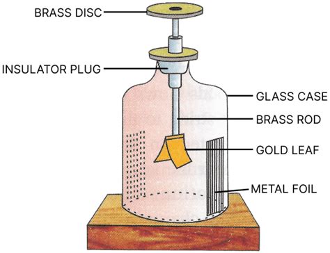 Draw a labelled diagram of a gold leaf electroscope and | KnowledgeBoat