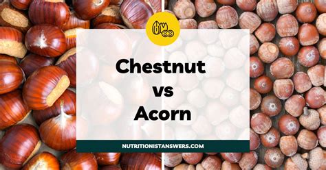 Chestnut vs Acorn: What's the Difference? | Nutritionist Answers