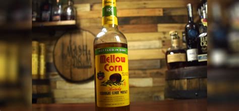 15 Best Corn Whiskey Brands Listed & Ranked (2023 Updated)