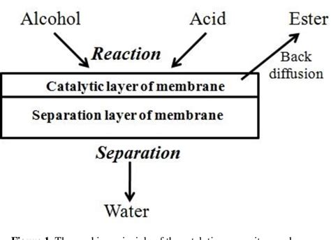 Figure 1 from Catalytic Membrane Aided Pervaporation Applications in Esterification Reactions ...