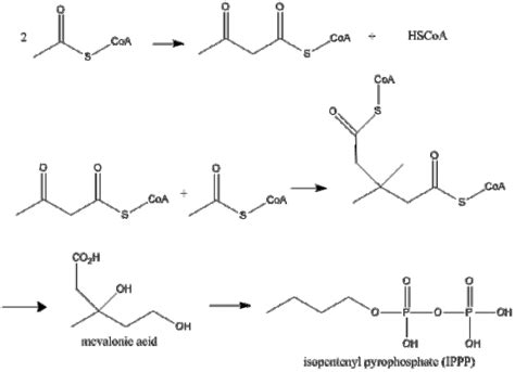 What is the Difference Between Isoprenoid and Steroid | Compare the ...