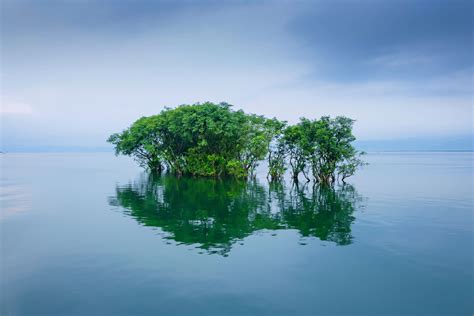 Bangladesh Climate Zone, Weather By Month and Historical Data