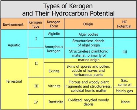 Kerogen - Alchetron, The Free Social Encyclopedia