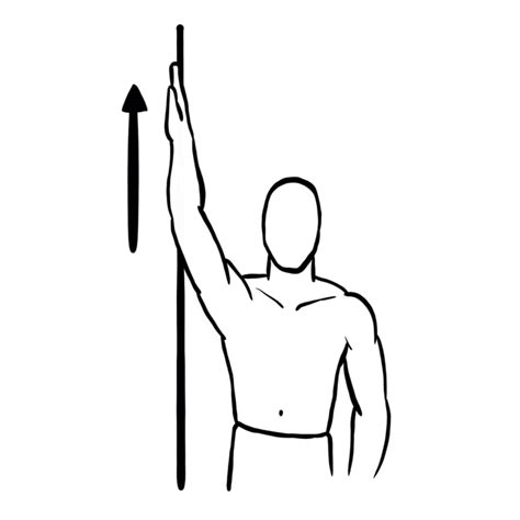 Shoulder mobility: wall slides – exer-pedia