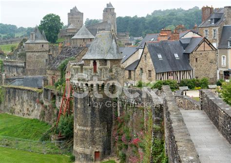 Fougeres Stock Photo | Royalty-Free | FreeImages