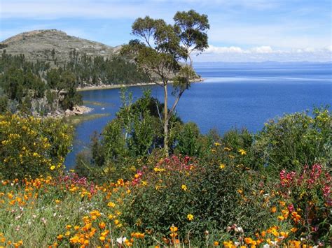 Lake Titicaca holidays, Peru - 2024/2025 - Steppes Travel