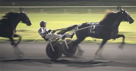 Harness racing driver Campbell retiring Friday