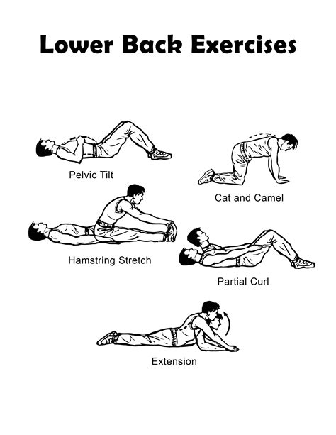 Lower Back Exercise Chart