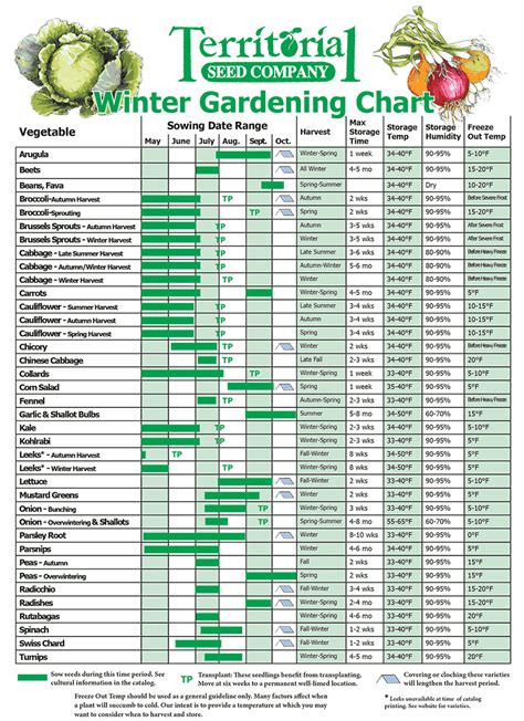 Vegetable Time From Planting To Harvest