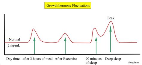 Growth Hormone (GH), Somatotropin Hormone - Labpedia.net