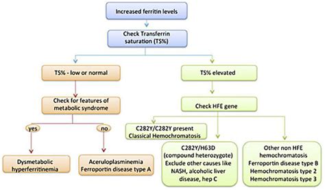 Algorithm for patients with elevated ferritin and suspected iron ...