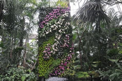 NYBG Orchid Show: Patrick Blanc - Gallery | Garden Design