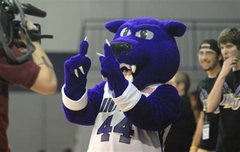 High Point University Panthers - HPU Mascot: Prowler | High point ...