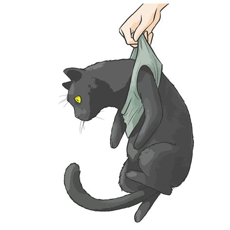 Premium Vector | Digital painting of black cat catching by hand