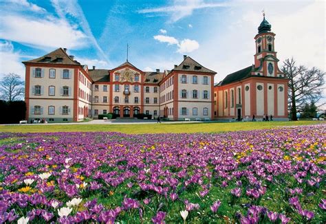 Insel Mainau – um show de primavera – Alemanha com crianças – Brasileiros Mundo Afora